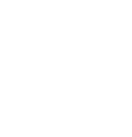 plane icon webp