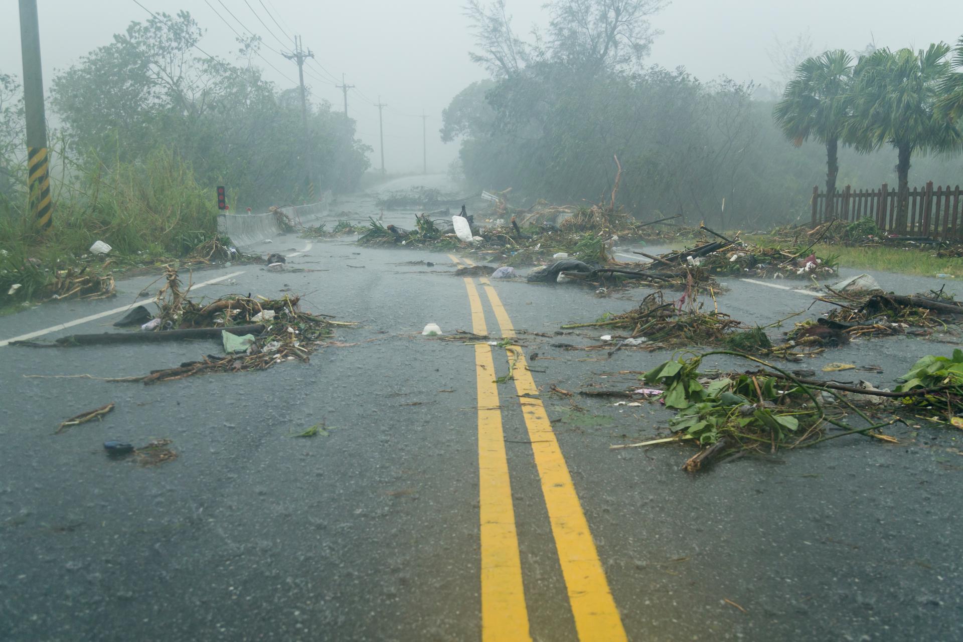 Debris on the road after a hurricane 